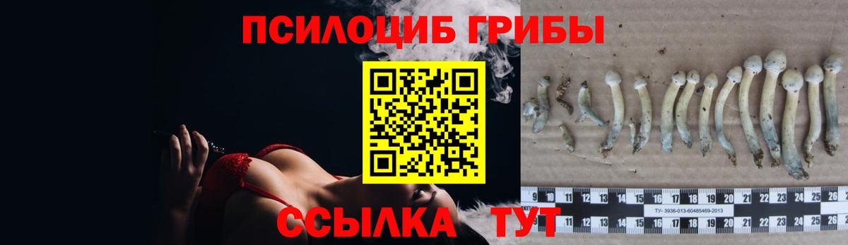 цена   Вход с VPN  Нарткала  Галлюциногенные грибы мицелий 
